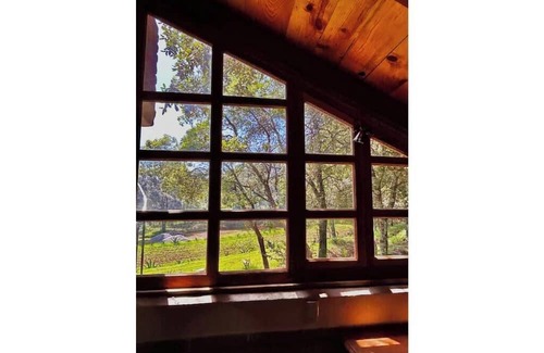 Huasca De Ocampo Cabin | La Joyita Forest Retreat Cabin By GEstores
