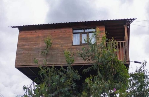 Omitlan de Juarez House | Trini Tree House — Nido By GEstores