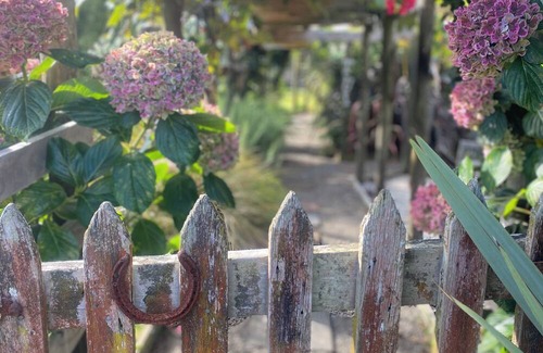 Nukuhou Cabin | Perfect getaway relax with nature