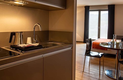 9th Arrondissement Hotel | Stay Close to Place des Terreaux! Pet-friendly Hotel, Kitchenette, City View!