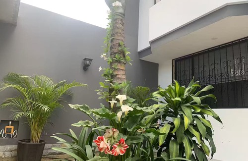 Ibarra Condo | Penthouse Los Alisos- Panoramic and Cozy Terraces