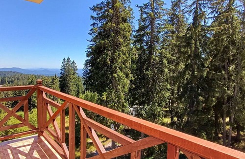 Pamporovo Apartment | Lovely 1-bedroom apartment in Pamporovo Pine hill-1