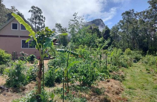 Koreelah Cabin | Offgrid Tiny Home in a Food Forest Garden