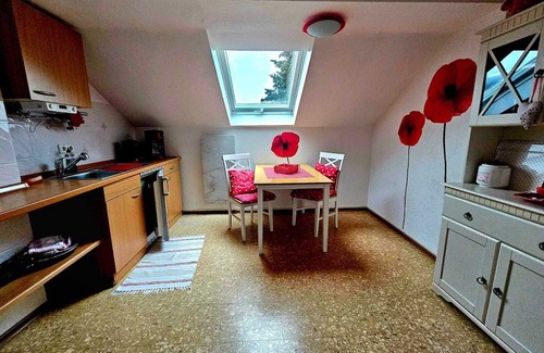 Miltenberg Apartment | Vacation apartment in Miltenberg with upscale furnishings and south-facing roof terrace