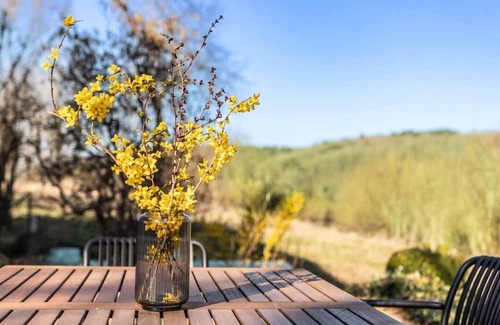 Bermel Apartment | Wohnen zwischen Himmel und Wald