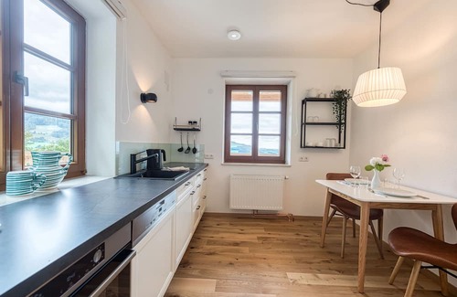 Traunkirchen Apartment | ELA Apartments Traunkirchen 1