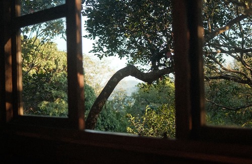 Sakleshpur Cabin | Treedom Treehouse Eco-Restoration getaway in the Jungles of South India