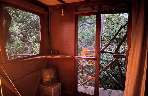 Sakleshpur Cabin | Treedom Treehouse Eco-Restoration getaway in the Jungles of South India