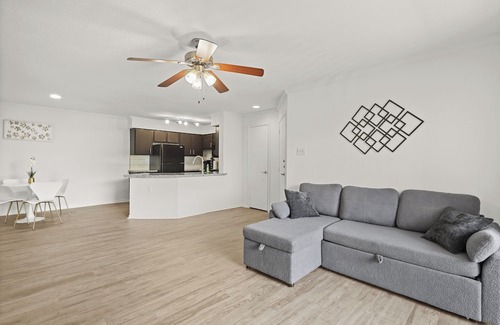Astrodome Apartment | Med Center Apt Near NRG