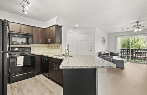 Astrodome Apartment | Med Center Apt Near NRG