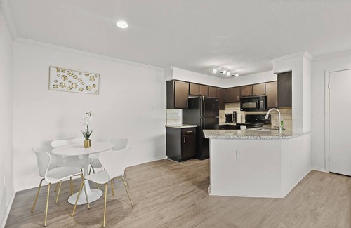 Astrodome Apartment | Med Center Apt Near NRG