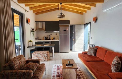 Sapanca House | 2+1 Wooden Villa for 5 People with Lake View - Heated Pool - Jacuzzi - Fireplace