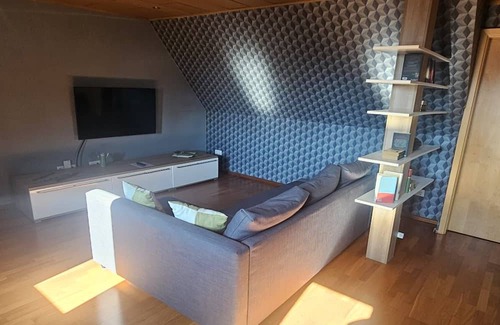 Stadtlauringen Apartment | Vacation apartment Kunterbunt