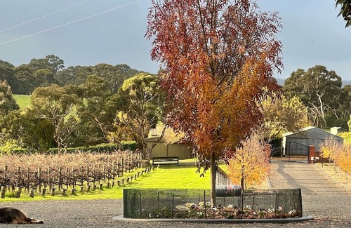 Kuitpo Apartment | Mount Bold Estate - Luxurious Private Retreat - Kangarilla and McLaren Vale