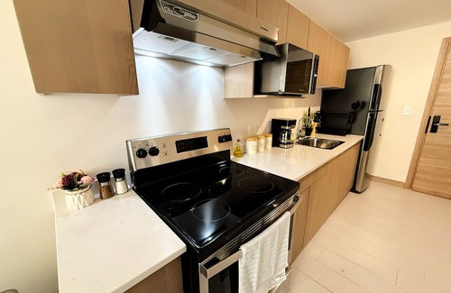 Tegucigalpa Apartment | New and Luxurious Apt in Tegucigalpa