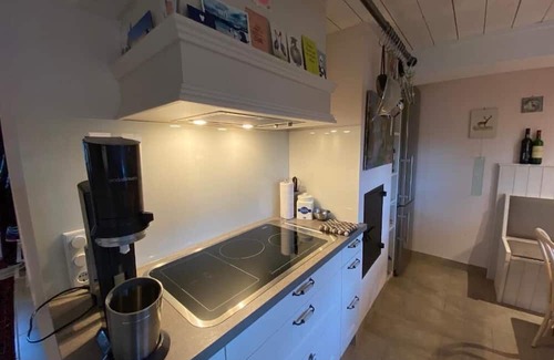 Immenstedt Apartment | Koopmanns-Hus Extraordinary-Hyggelig-under a thatched roof for 2 persons