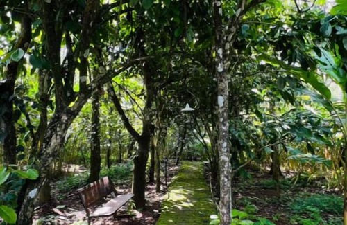 Anakkara House | Eco-Friendly Plantation Retreat Near Thekkady