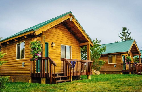 Last Chance Cabin | Cozy Mini-Cabin Surrounded by Nature's Beauty!