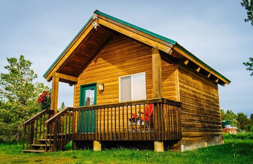 Last Chance Cabin | Cozy Mini-Cabin Surrounded by Nature's Beauty!