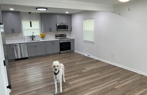 Newport News House | Empty 4-bedroom house ready to rent