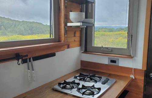 Hartwick Cabin | Tiny House in a peaceful meadow near Cooperstown