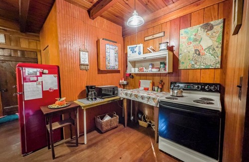 Fairview Cabin | Charming, private, 1952 log cabin in the country 4 miles from Fairview.