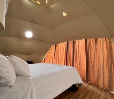 Boqueron Other | Glasswing Dome