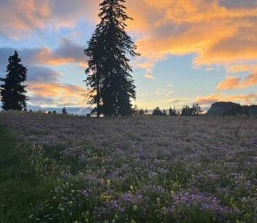 Leysin Other | Place for camping car at leysin