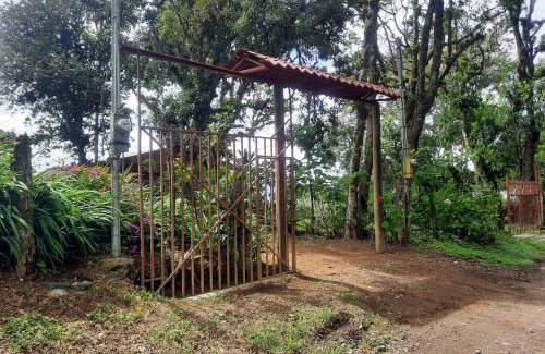 Roble Other | Finca raíces del pasado