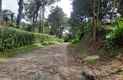 Roble Other | Finca raíces del pasado