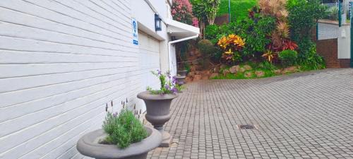 Berea Apartment | Beautiful Habour Views Glenwood