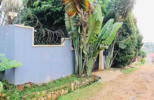 Kireka House | Flamingo Open house