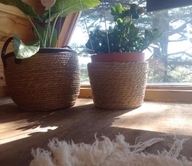 Tandil Ski Chalet | Cabaña Alpina