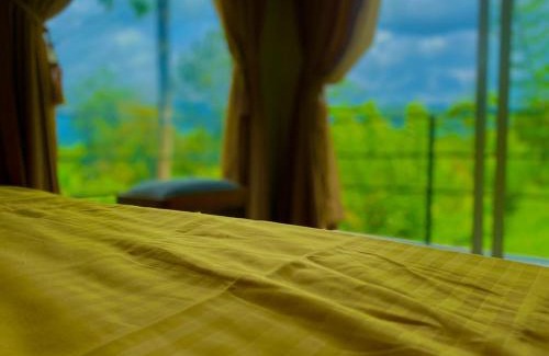 Nelluwa Hotel | Mist of Sinharaja Eco Lodge