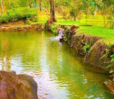 Nelluwa Hotel | Mist of Sinharaja Eco Lodge