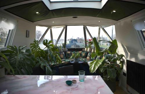 Hackney Wick Apartment | The Floating Terrarium Teliegram_LovelyAppartmentsJean