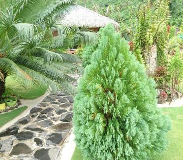 Huahine Apartment | Rops Location Huahine bungalow premium