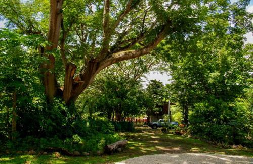 Canton Liberia Apartment | Rancho Costafalo Eco-Tourism Farm