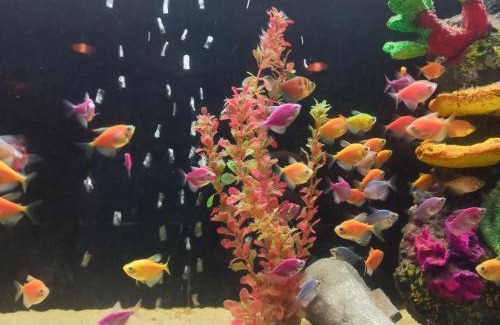 Bogota Apartment | Daniels property