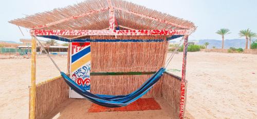 Wasit Other | Starlight Camp Nuweiba