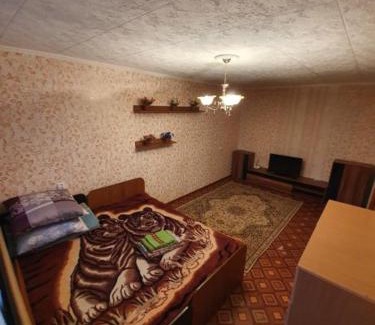 Petropavlovsk Apartment | Однокомнатная квартира в центре города
