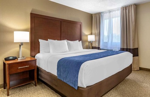 Dearborn Hotel | Comfort Inn Near Greenfield Village