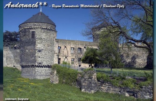 Andernach Apartment | Ferienwohnung ' Gecko 2 '