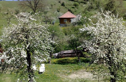 Bran House | Pensiunea Constanta
