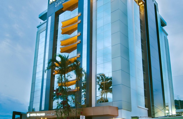 Hotel Palmas Executivo
