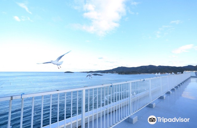 Minamisanriku Hotel Kanyo