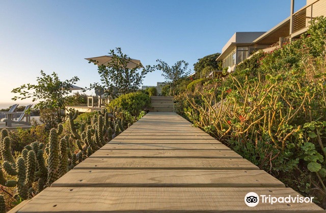 Watercolours Studios