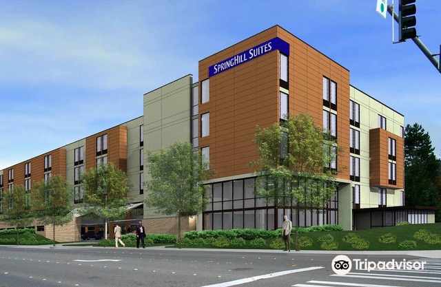 SpringHill Suites by Marriott Seattle Issaquah