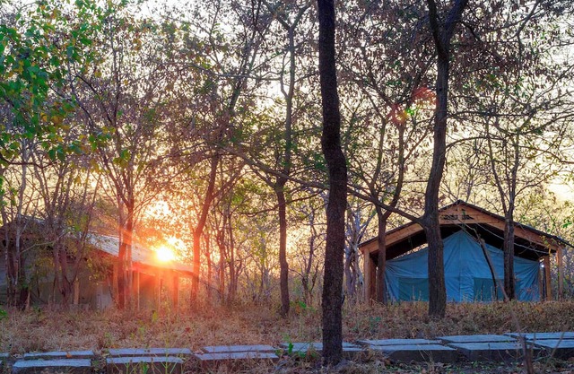 Daga Camp