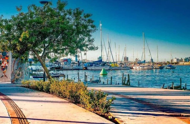 Beaches, Beto Carrero and Airport: New Apartment in Meia Praia with Comfort!